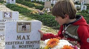 Primo cimitero per animali: aprirà a Levizzano a primavera