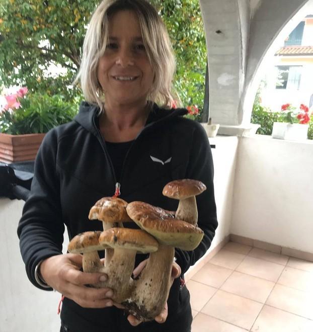Maxi fungo trovato a Cervara: ha 5 “teste”
