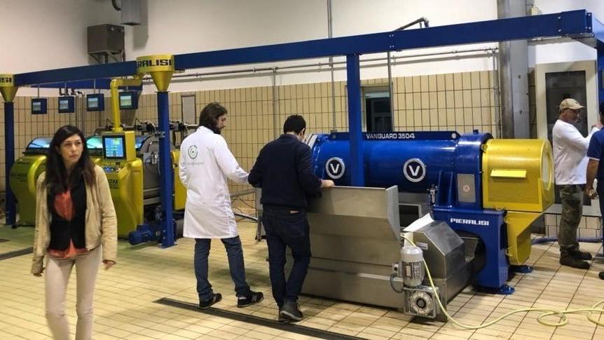 Ecco La Seggianese La Città dell’Olio ha un nuovo frantoio