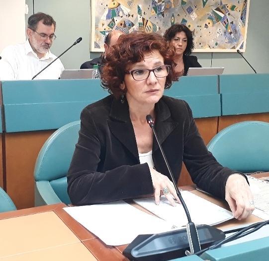Affidi in Val d'Enza, la nuova responsabile dell'Unione: «Servizi sociali assediati e traumatizzati» 