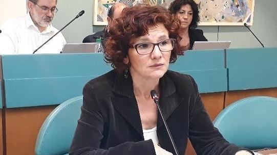 Affidi in Val d'Enza, la nuova responsabile dell'Unione: «Servizi sociali assediati e traumatizzati»