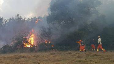Incendio nelle campagne di San Teodoro