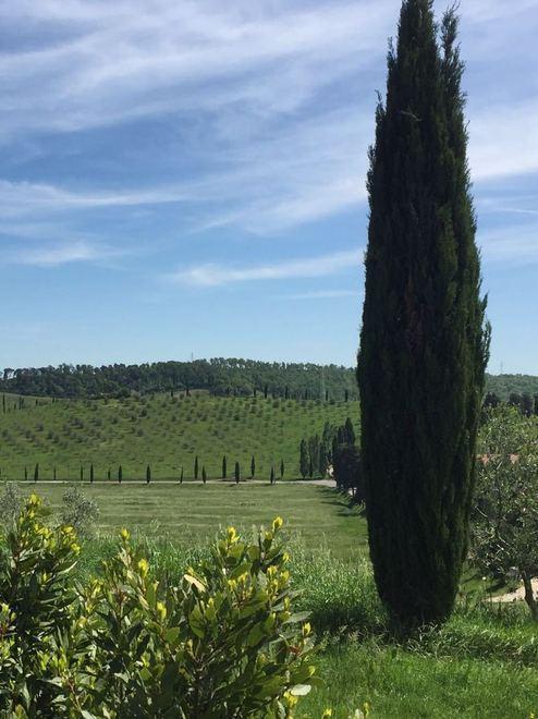 Tenuta Bellavista e Gaia venerdì evento sull’oasi con la Regione 