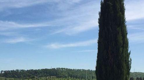 Tenuta Bellavista e Gaia venerdì evento sull’oasi con la Regione
