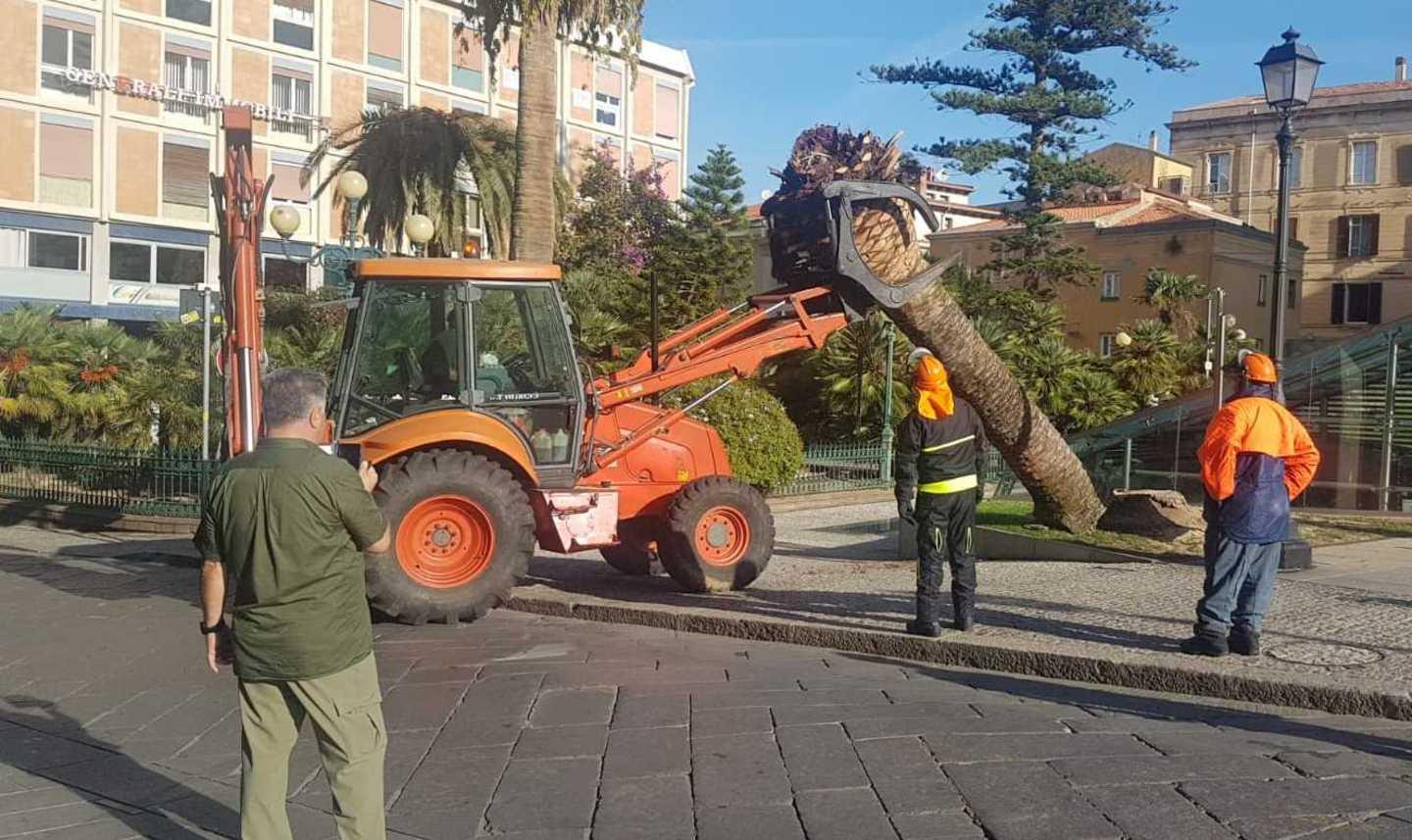 Via le palme anche da piazza Castello 