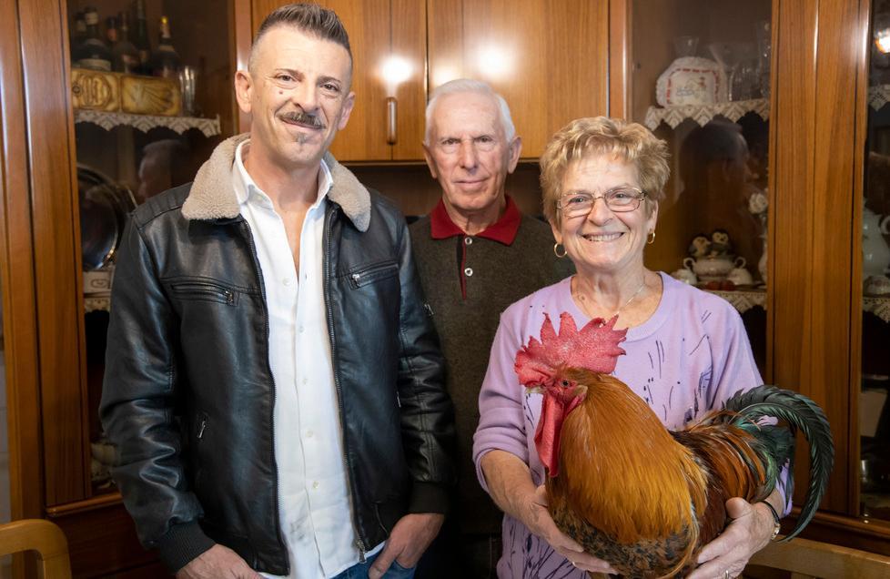 Novi, Il gallo Cici salvato da tutto il paese