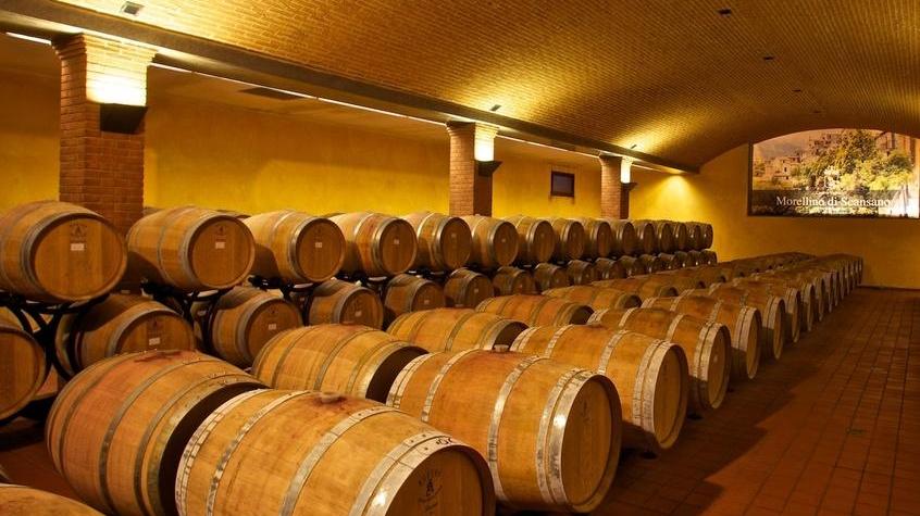 Dai primi (pochi) viticoltori eroici alla conquista dei nuovi mercati