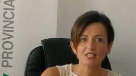 Ai nastri di partenza il nuovo anno accademico