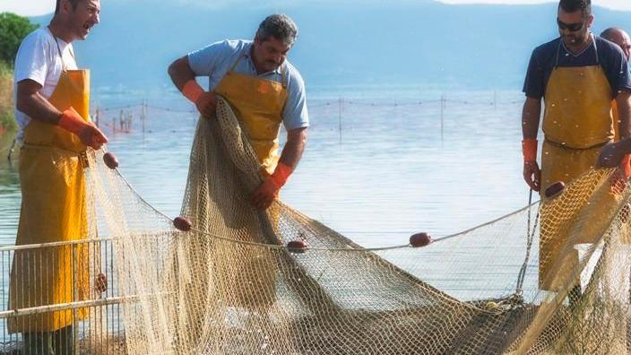 Convenzione Pescatori Velasco: «Tutto tace: perché?»