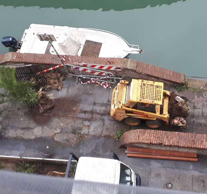 L’aiuola abbattuta in Venezia sarà ripristinata dal Comune