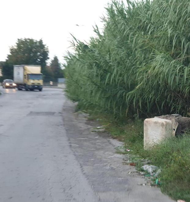 Degrado e incuria: dalla zona industriale un Sos al Comune 