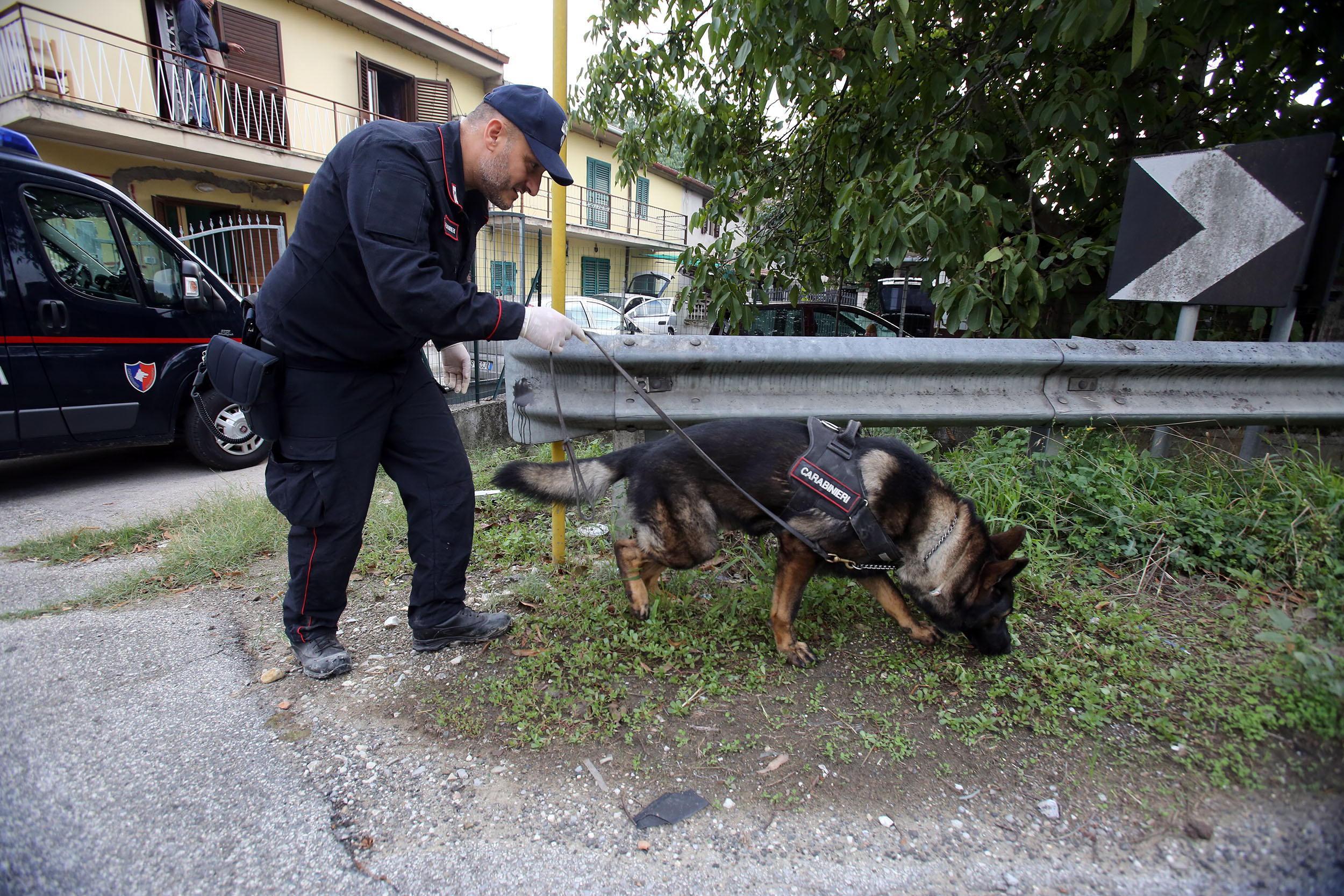 Controlli dell'unità cinofila dei carabinieri