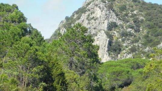 Itinerari nuovi e piste ciclabili Boom al Parco della Maremma