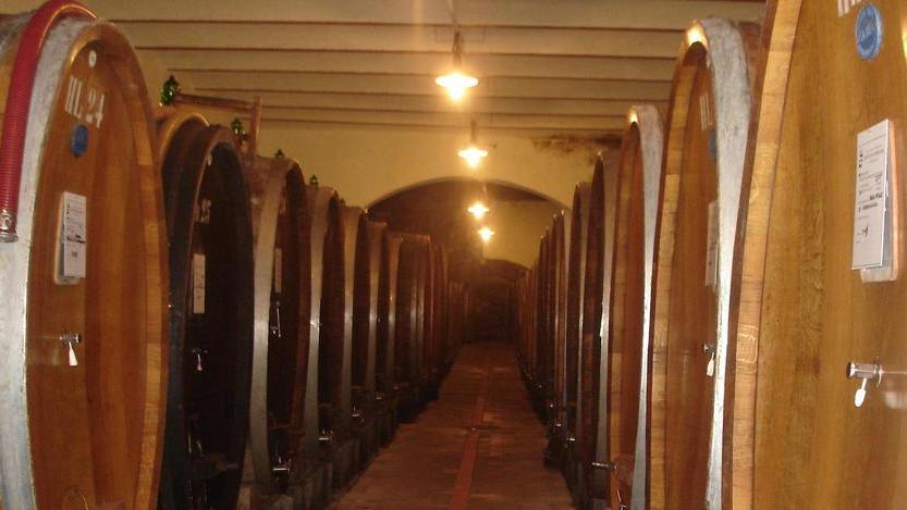C’è il Carmignano nella top cento dei migliori rossi