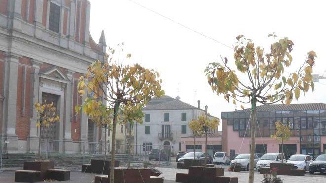 Le piante completano la piazza riqualificata
