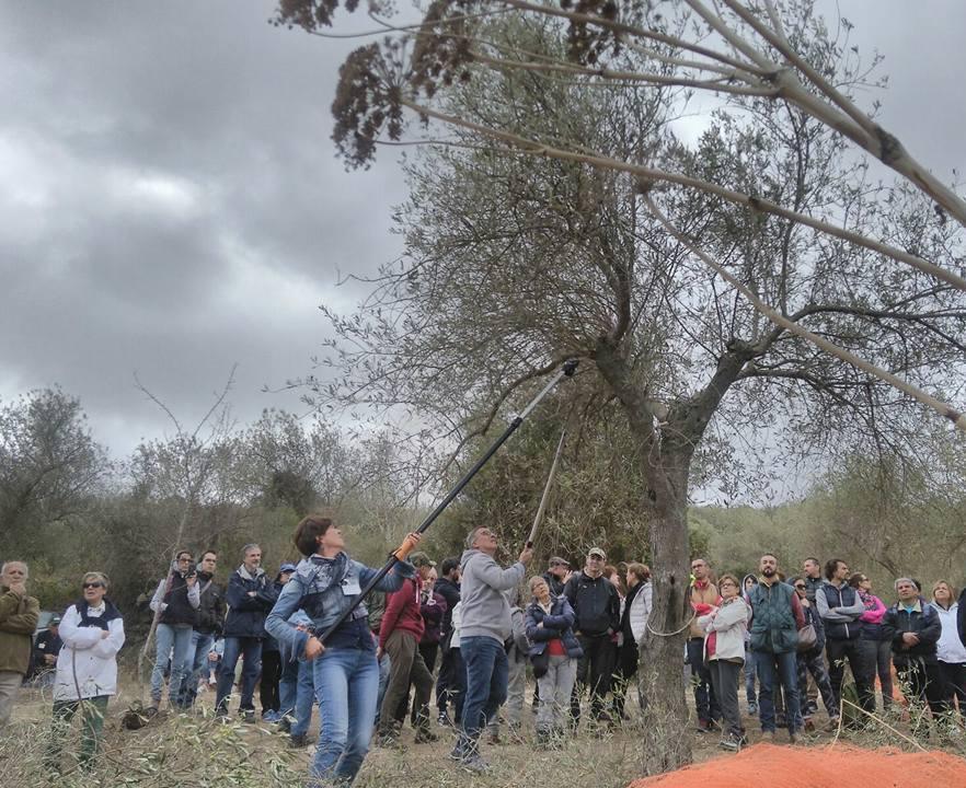 Usini e Uri pronti a camminare tra gli olivi 