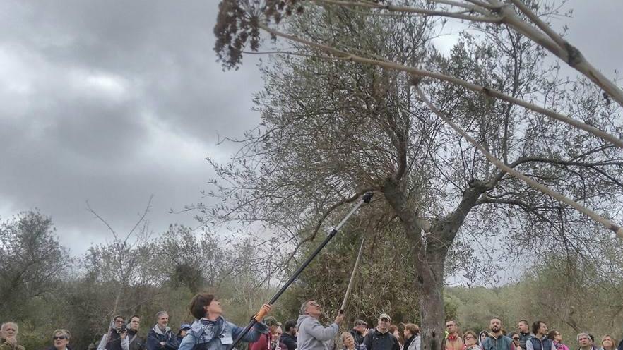 Usini e Uri pronti a camminare tra gli olivi