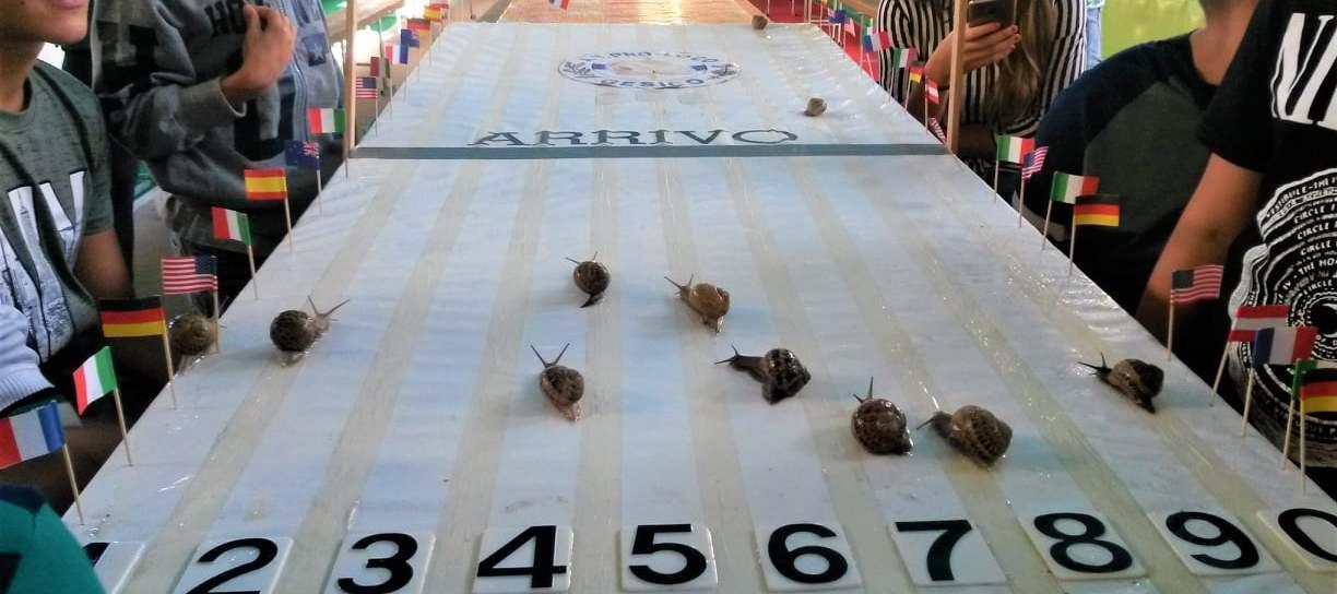 Gesico, la Sagra della lumaca va veloce 