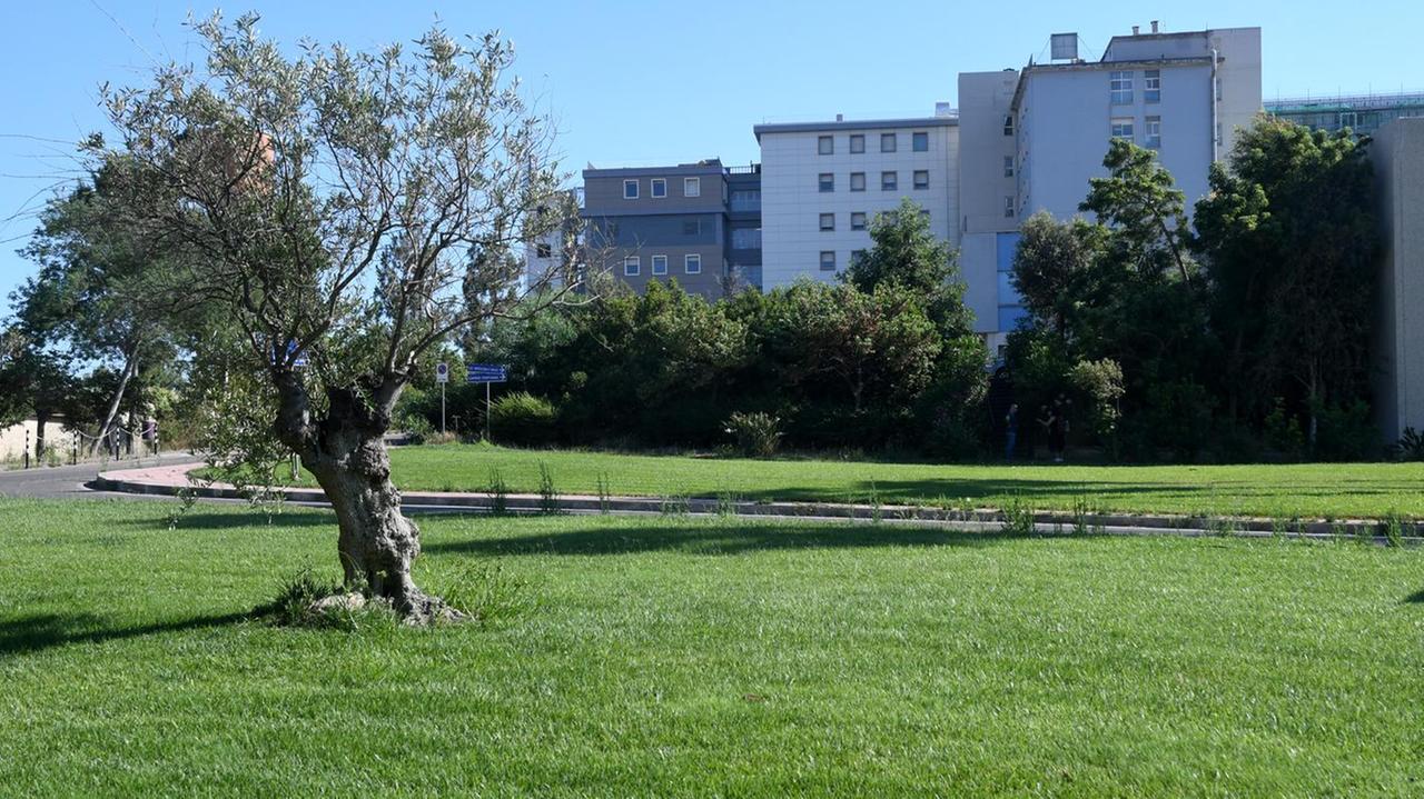 L'ospedale San Martino di Oristano