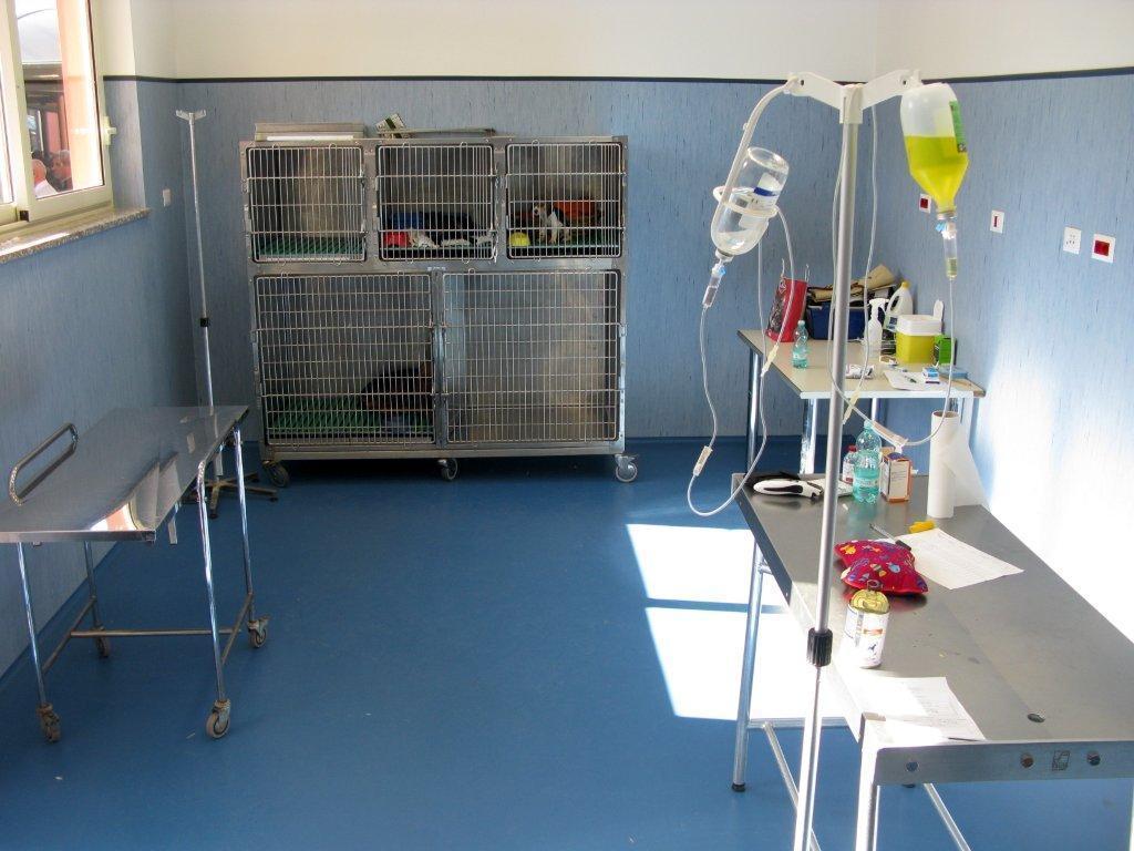 Una delle sale operatorie del polo veterinario