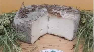 Il formaggio di Capraia è Gold, premiato all’Oscar del Cheese