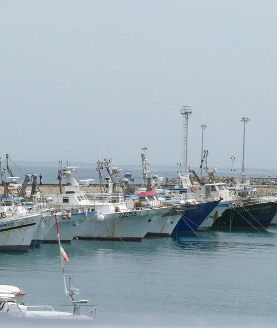 I diritti dei pescatori se ne parla con Flai Cgil 