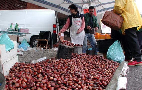Tutto pronto per la sagra delle castagne 