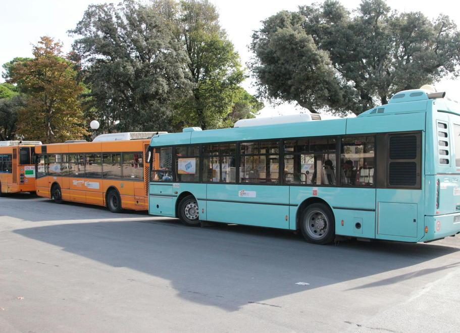 Guasti a raffica agli autobus Zavanella (Ctt):«Mi scuso» 