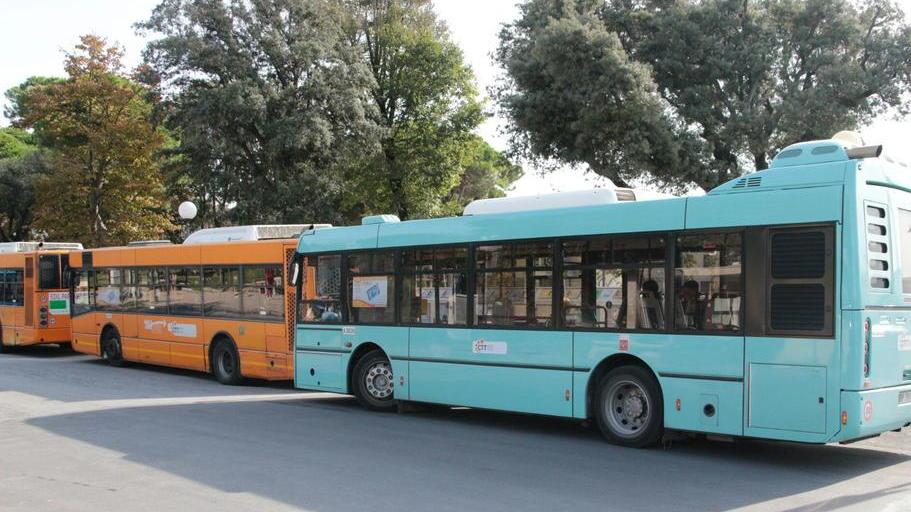 Guasti a raffica agli autobus Zavanella (Ctt):«Mi scuso»