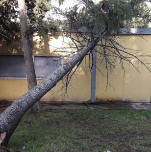 Medie di via Ogliastra soldi solo per la palestra 