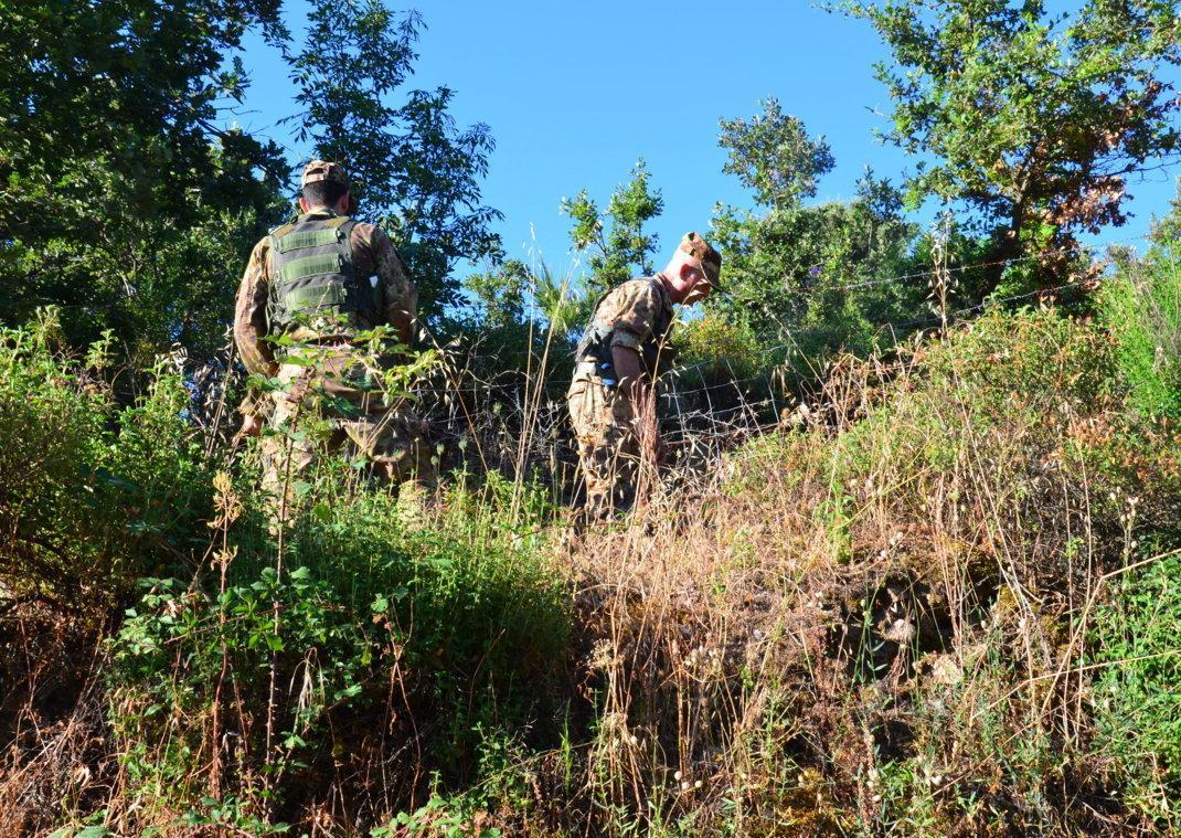Avevano abbattuto un cinghiale: denunciati due bracconieri 