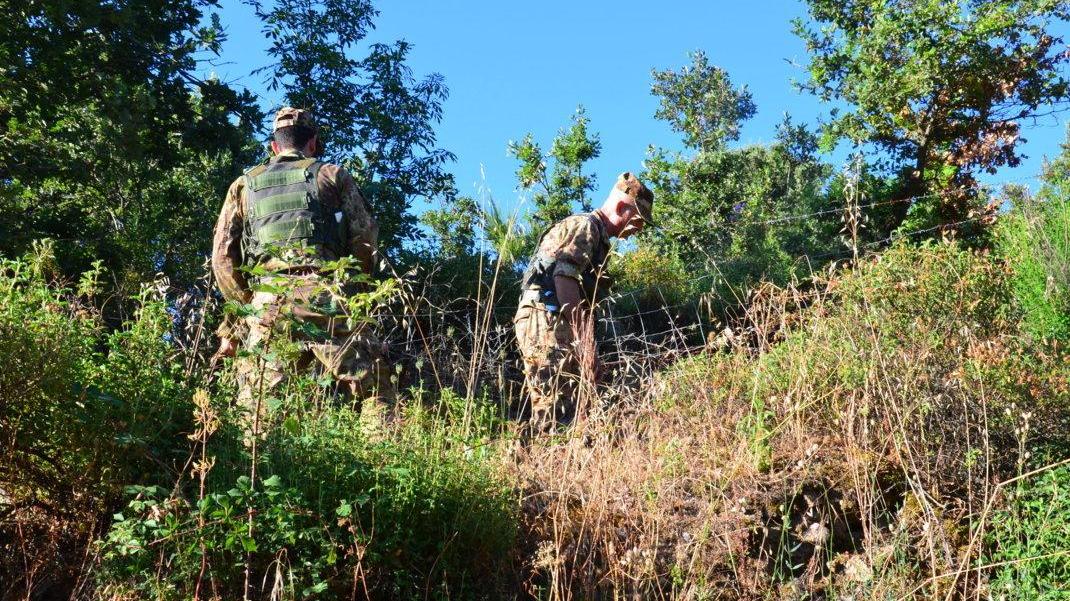 Avevano abbattuto un cinghiale: denunciati due bracconieri