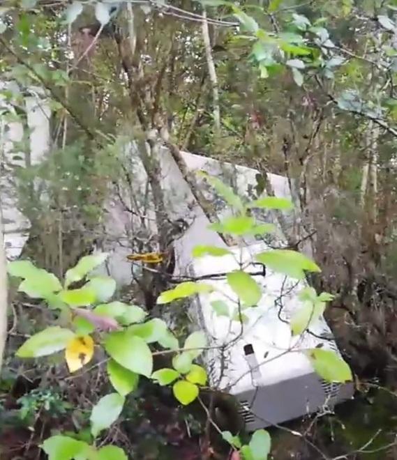 Va a cercare funghi, scopre una discarica