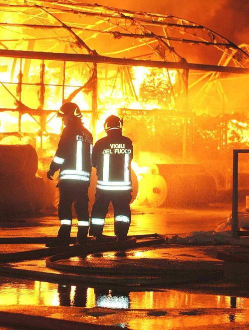 Patteggia per gli incendi dolosi nei vivai 