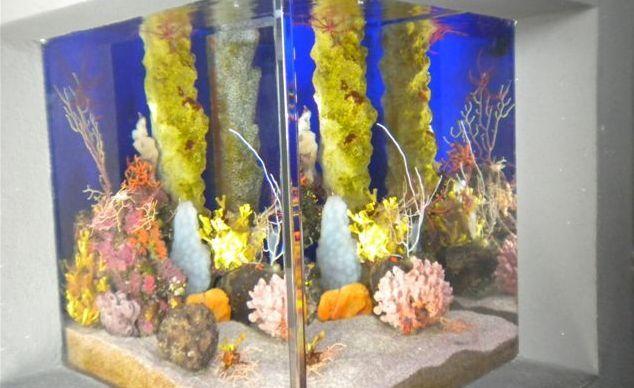 Gestione dell’Acquario, via alla gara 