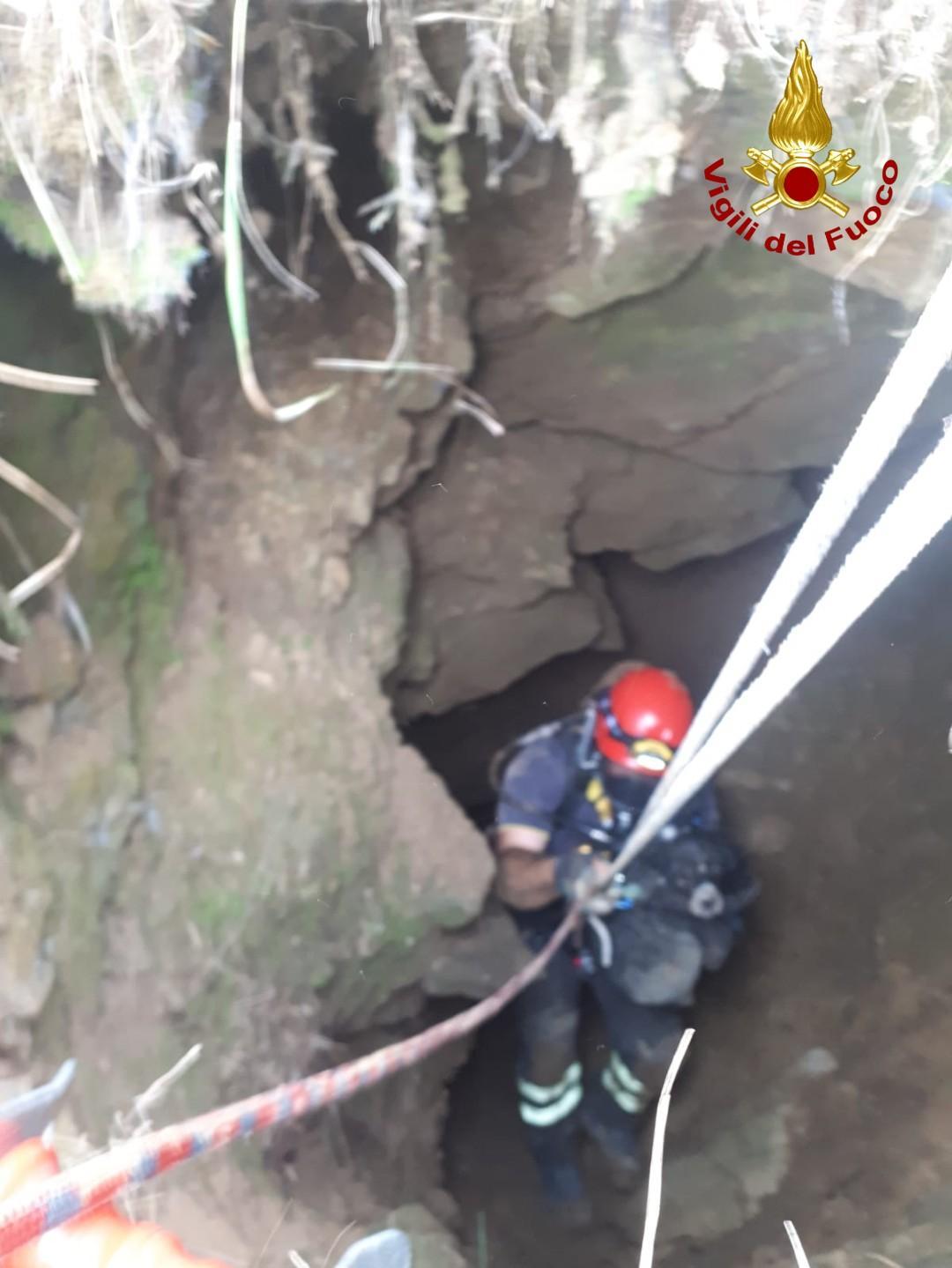 Recuperato dai vigili del fuoco un cane caduto in un pozzo profondo 15 metri a Valibona