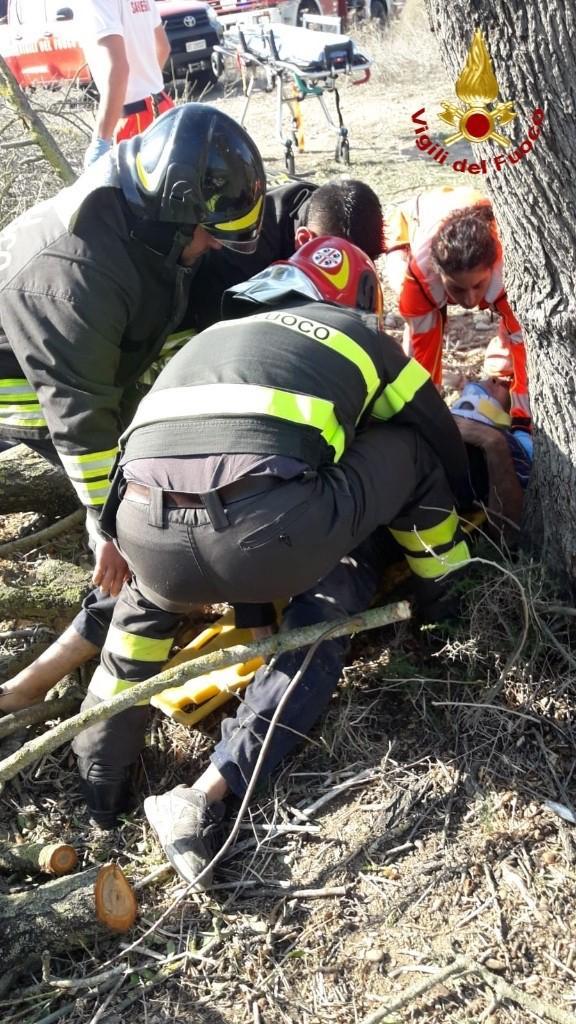 Un grosso ramo lo travolge mentre pota un albero, un ferito a Samassi