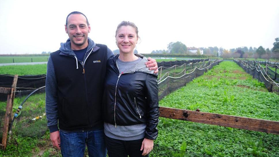 Carpi, «noi, allevatori di lumache e agricoltori per hobby»