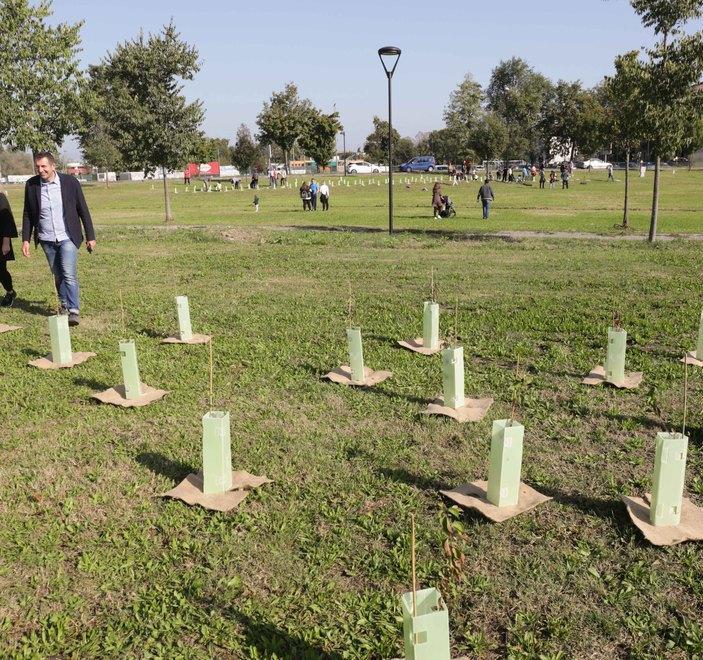 Piantati i 650 nuovi alberi al parco di via Plauto 