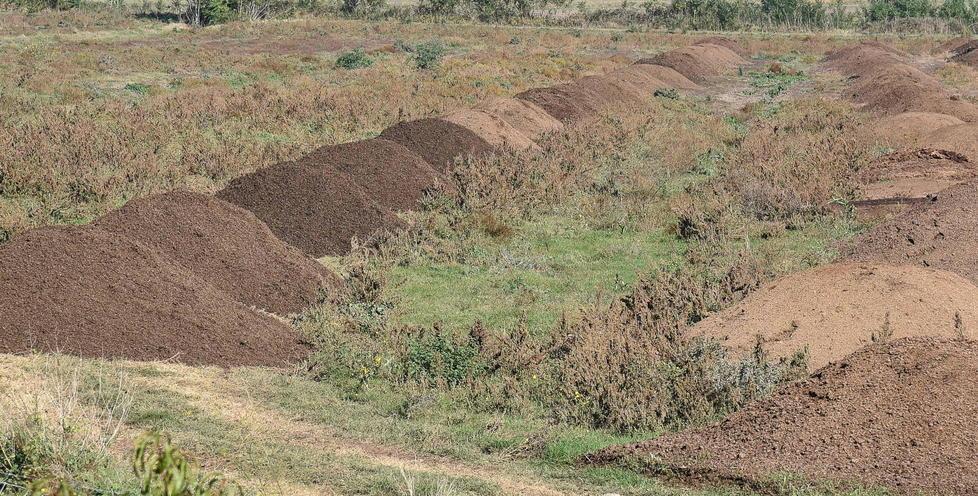 Cumuli di digestato segnalati dal Forum Ambientalista Grosseto alla periferia della città