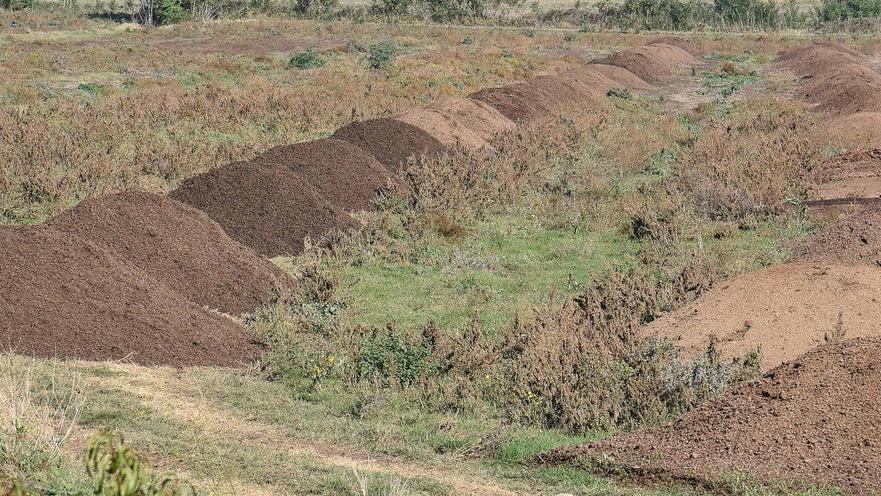Cumuli di digestato segnalati dal Forum Ambientalista Grosseto alla periferia della città
