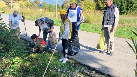 Basta plastica in acqua Volontari in azione