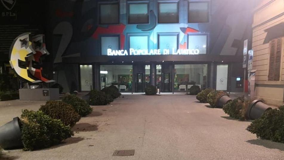 Piante gettate a terra Indagini in corso per trovare i colpevoli