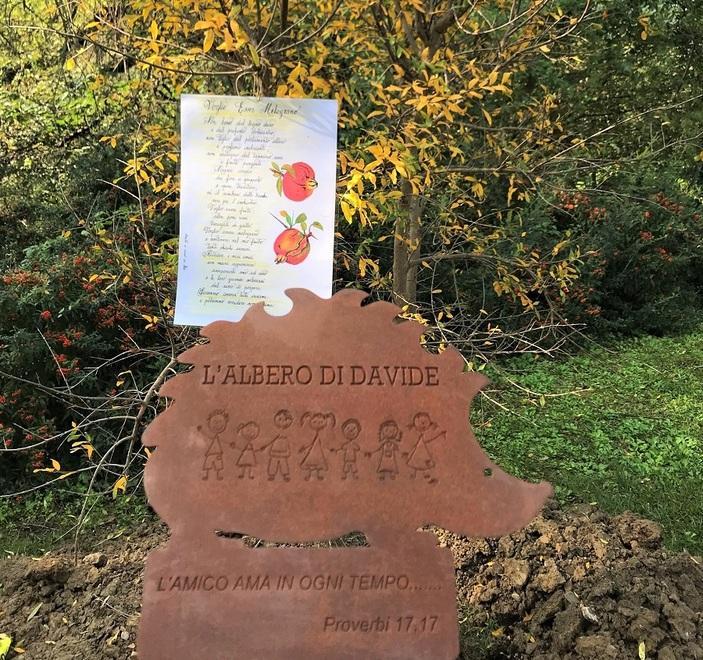 Un melograno per Davide il bambino morto a dieci anni 