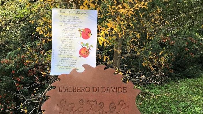 Un melograno per Davide il bambino morto a dieci anni