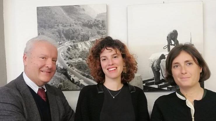Carrara, Carmi e Cap musei di respiro regionale