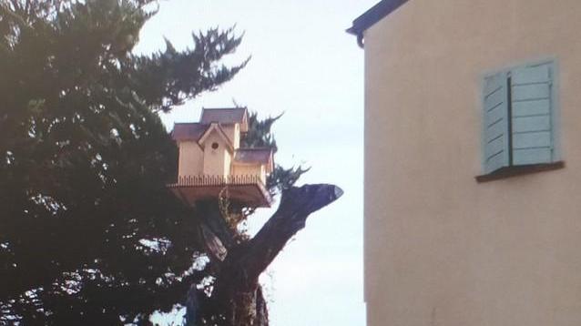 Una casa tutta nuova per i baby merli
