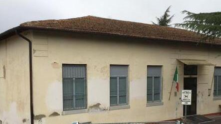 Insetti infestanti nel riso a mensa Scatta l’indagine