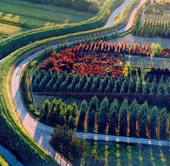 Entro il 2021 la Toscana sarà glisofato-free