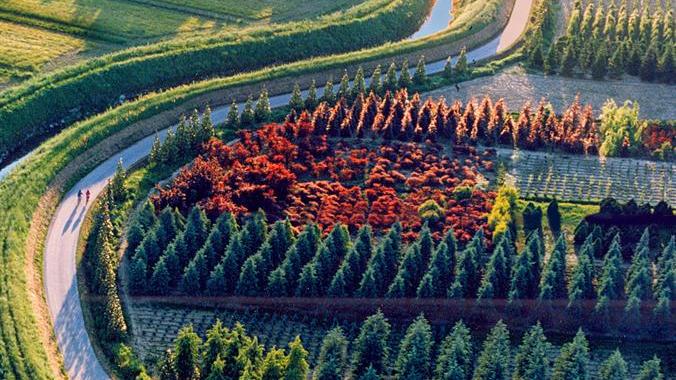 Entro il 2021 la Toscana sarà glisofato-free